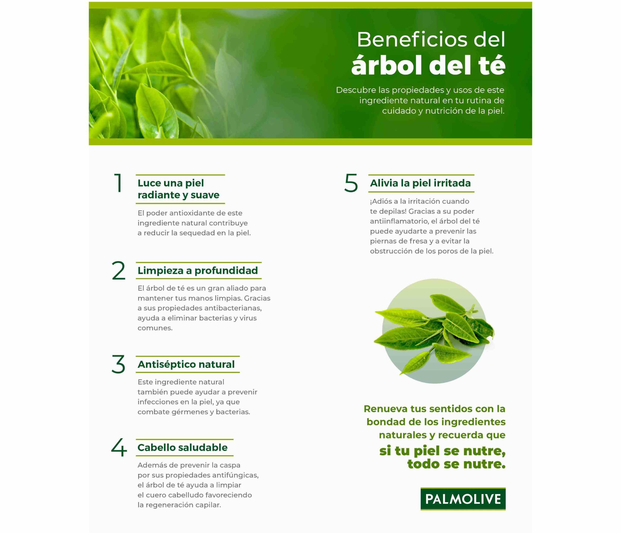 Beneficios y usos del aceite de árbol de té para combatir el acné